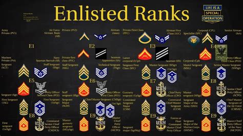 Us Military All Branches Officer Ranks Explained What Is An Officer Youtube