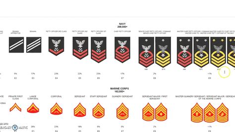 Us Military Insignia Of Rank Youtube