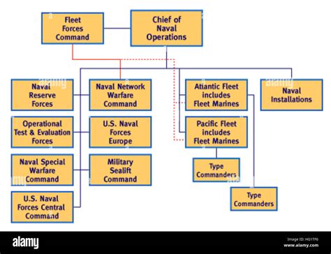 Us Navy Operating Forces Organization Navy