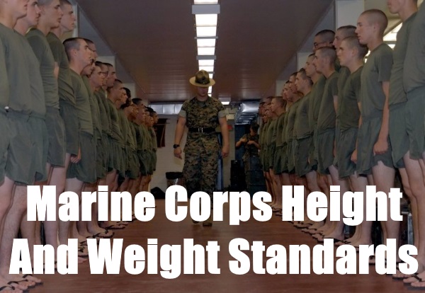 Usmc Body Fat Chart 2024