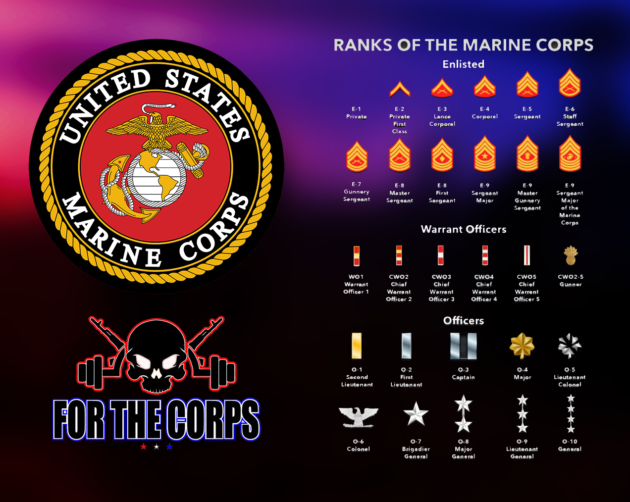 Usmc Rank Decal In 2021 Usmc Ranks Marine Corps Ranks Usmc Gifts