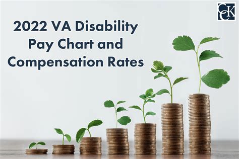 Va Unemployability Pay Chart 2025 Gayla Cherianne