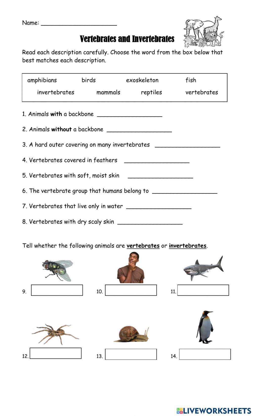 Vertebrates And Invertebrates Online Worksheet For 2Nd Live