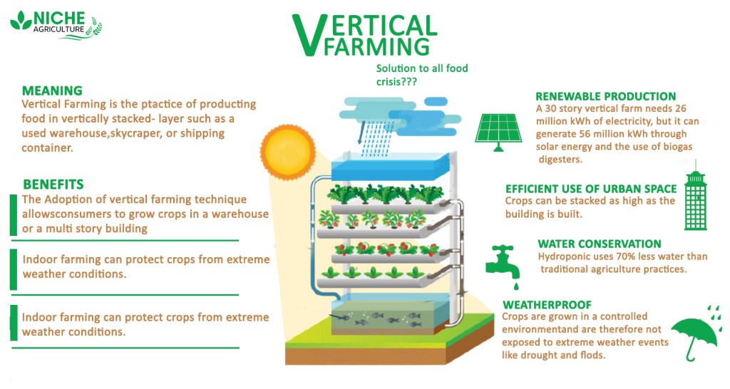 Vertical Farming Pros And Cons Definition Niche Agriculture Bank2home Com