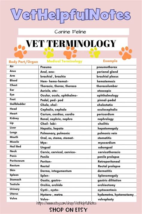 Vet Med Acronym Suffix Prefix Veterinary Cheat Sheet Vet Tech Notes Acronyms Vet Nurse Suffix