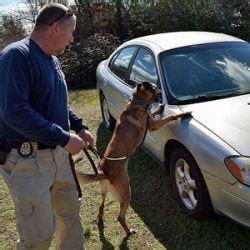 Veteran Administration Va Education Benefits Facility Custom Canine Unlimited