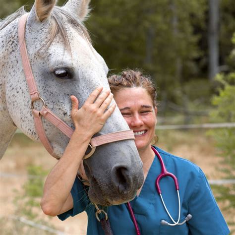 Veterinarian In Edgewood Equine Vet Large And Small Animal Hospital