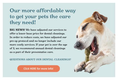 Veterinary Diagnostics Near Me 94941 Alto Tiburon Veterinary Hospital