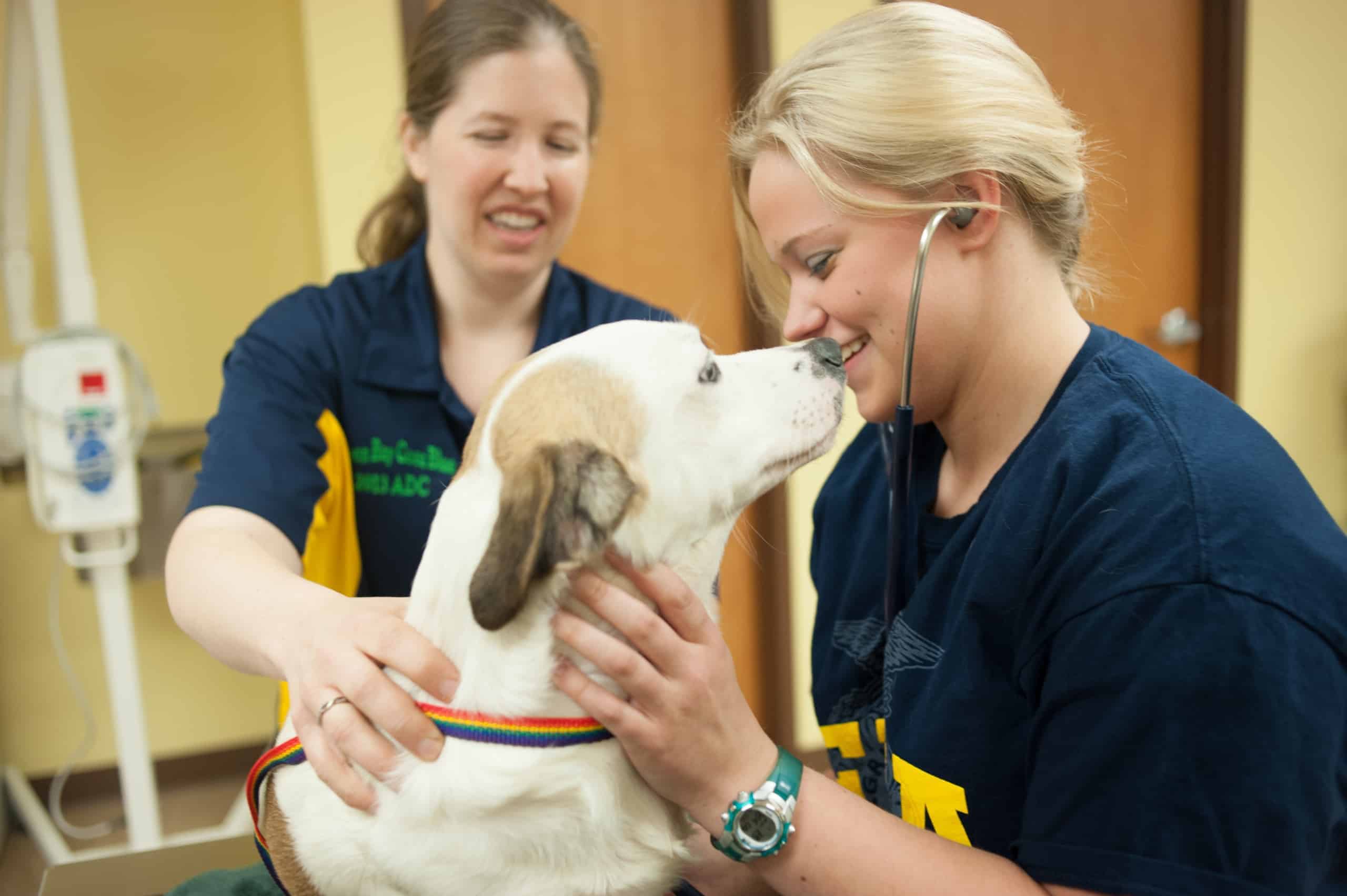 Veterinary Medicine