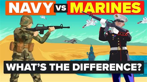 Video Infographic Us Navy Vs Us Marines What Amp 39 S The Difference Amp How Do They Compare Army