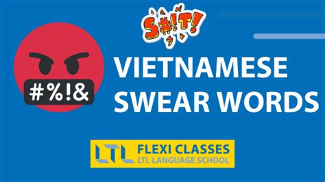 Vietnamese Swear Words Guide