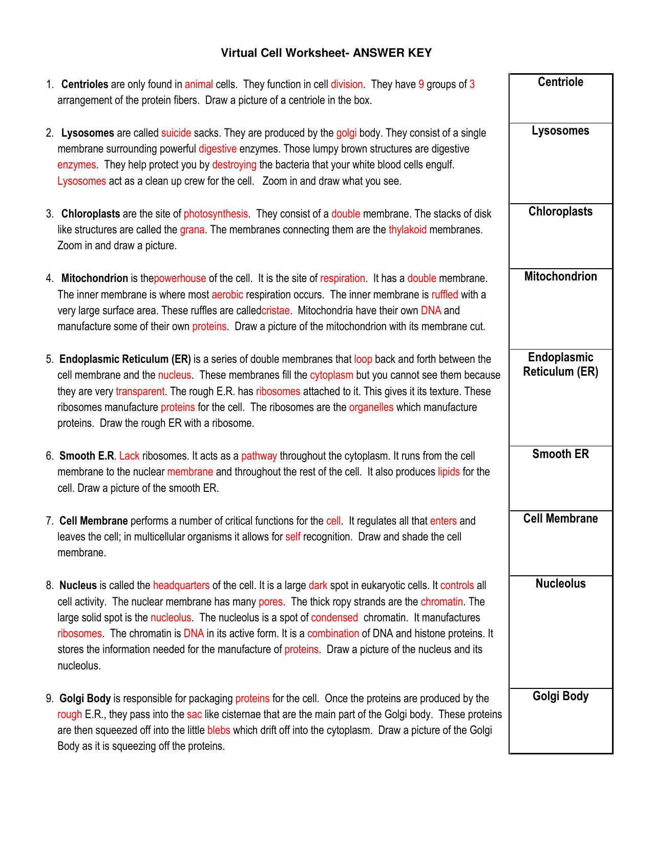 Virtual Cell Worksheet Answers: Simplified Biology Lab Guide