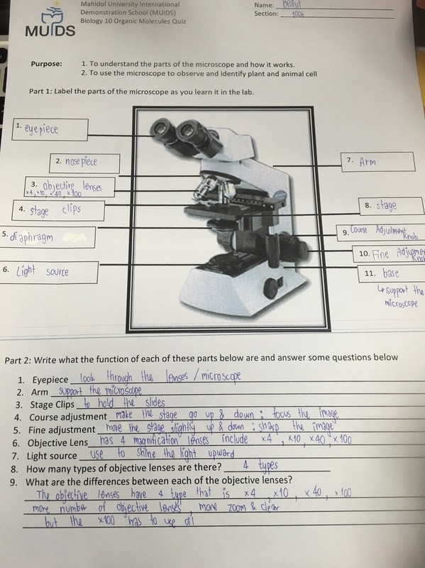 Virtual Microscope Lab Worksheet Biology Lesson Plans Biology