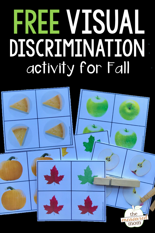 Visual Discrimination Activities For Kids