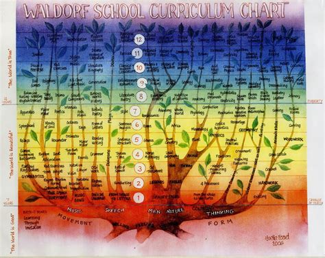 Waldorf Middle School Curriculum Kingwes