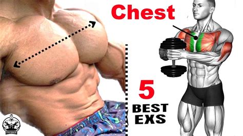 Watch Chest Workout How To Lose Chest Fat Fast Prime Video