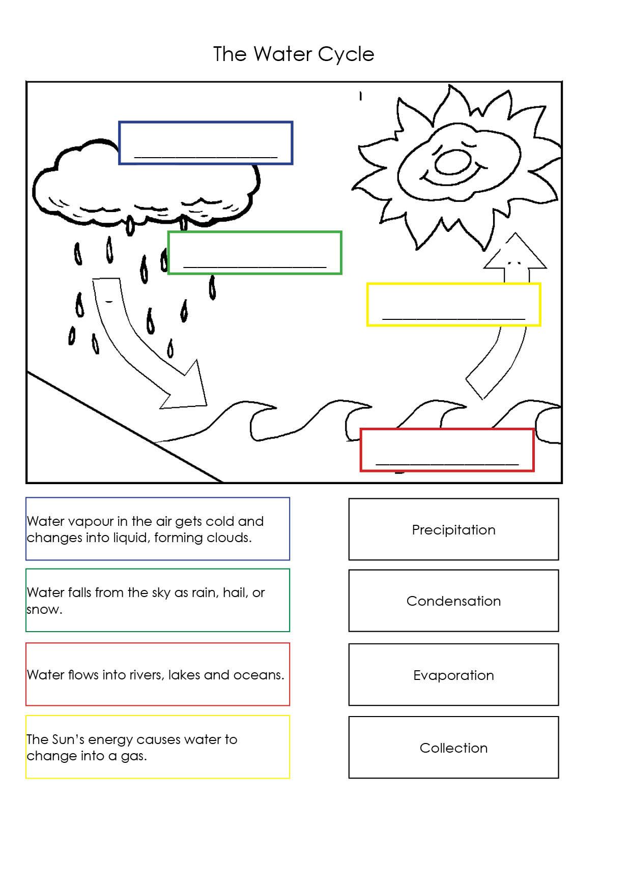 Water Cycle Fun: Interactive 2nd Grade Worksheet