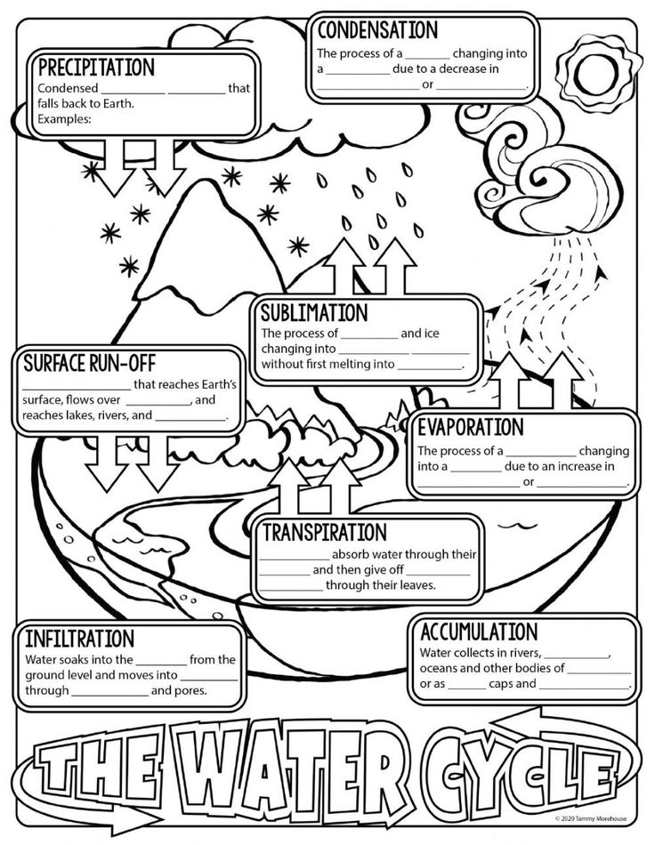 Water Cycle Worksheet Answer Key Wordworksheet Com