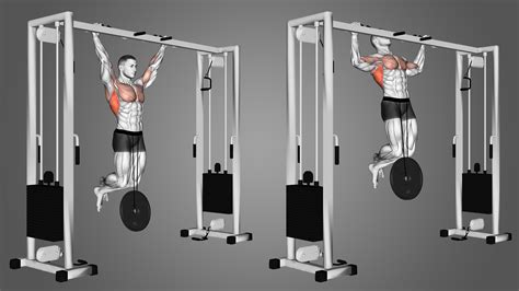 Weighted Pull Ups For Strength