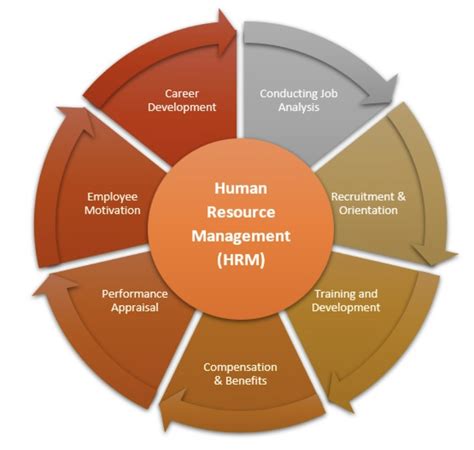 What Are The Five Main Areas Of Hr Hr Blog Hr Resources Hr