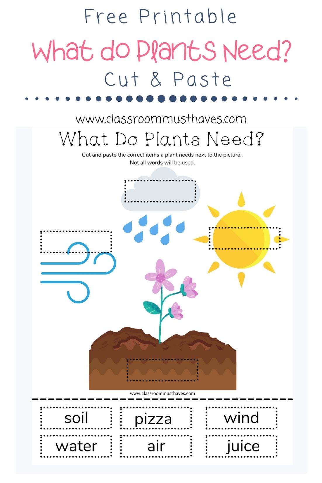 What Do Plants Need To Grow Worksheet Classroom Must Haves