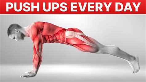 What Happens To Your Body When You Do 100 Pushups A Day 100 Pushups Every Day 100Pushupsaday