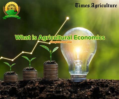 What Is Agricultural Economics Complete Overview