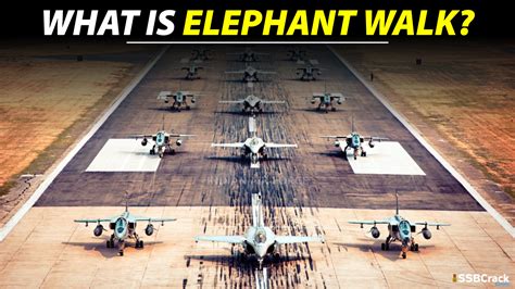 5 Amazing Facts About Elephant Walk