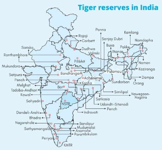 What Numbers Do Not Reveal About Tiger Conservation Insights Ias Simplifying Upsc Ias Exam