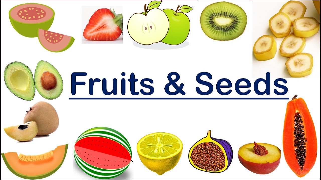 Which Fruit Has Most Seeds Top 11 Best Answers Barkmanoil Com