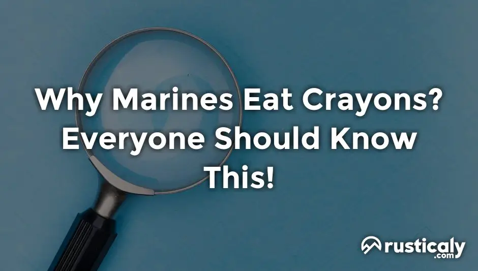 Why Marines Eat Crayons: 3 Shocking Reasons