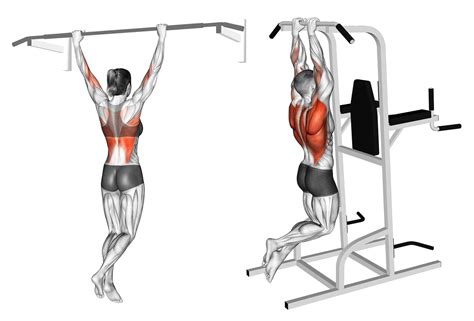 5 Tips Wide Grip Pull Ups