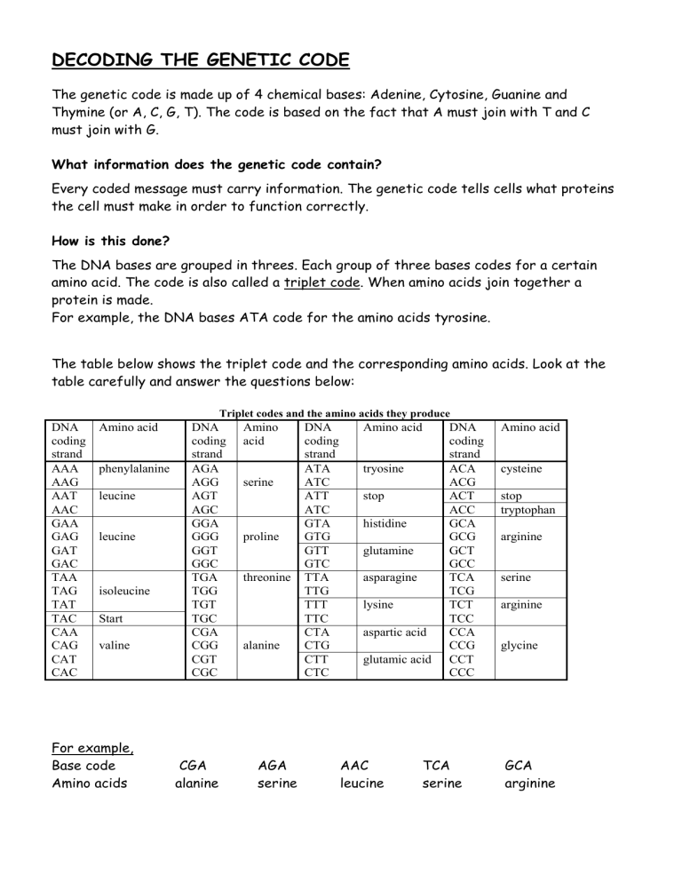 Worksheet Decoding The Genetic Code