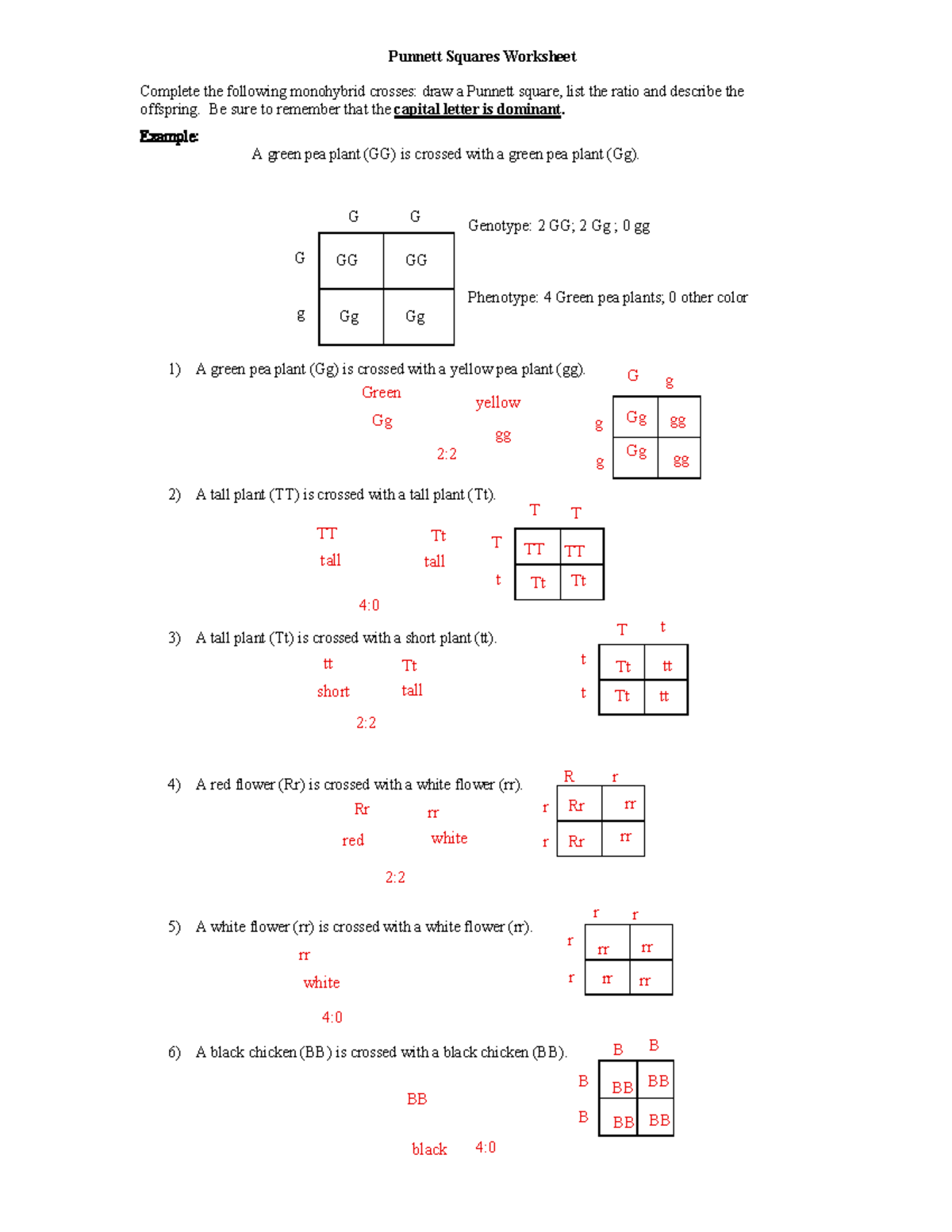 Worksheet Monohybrid Crosses Key Pdf Course Hero