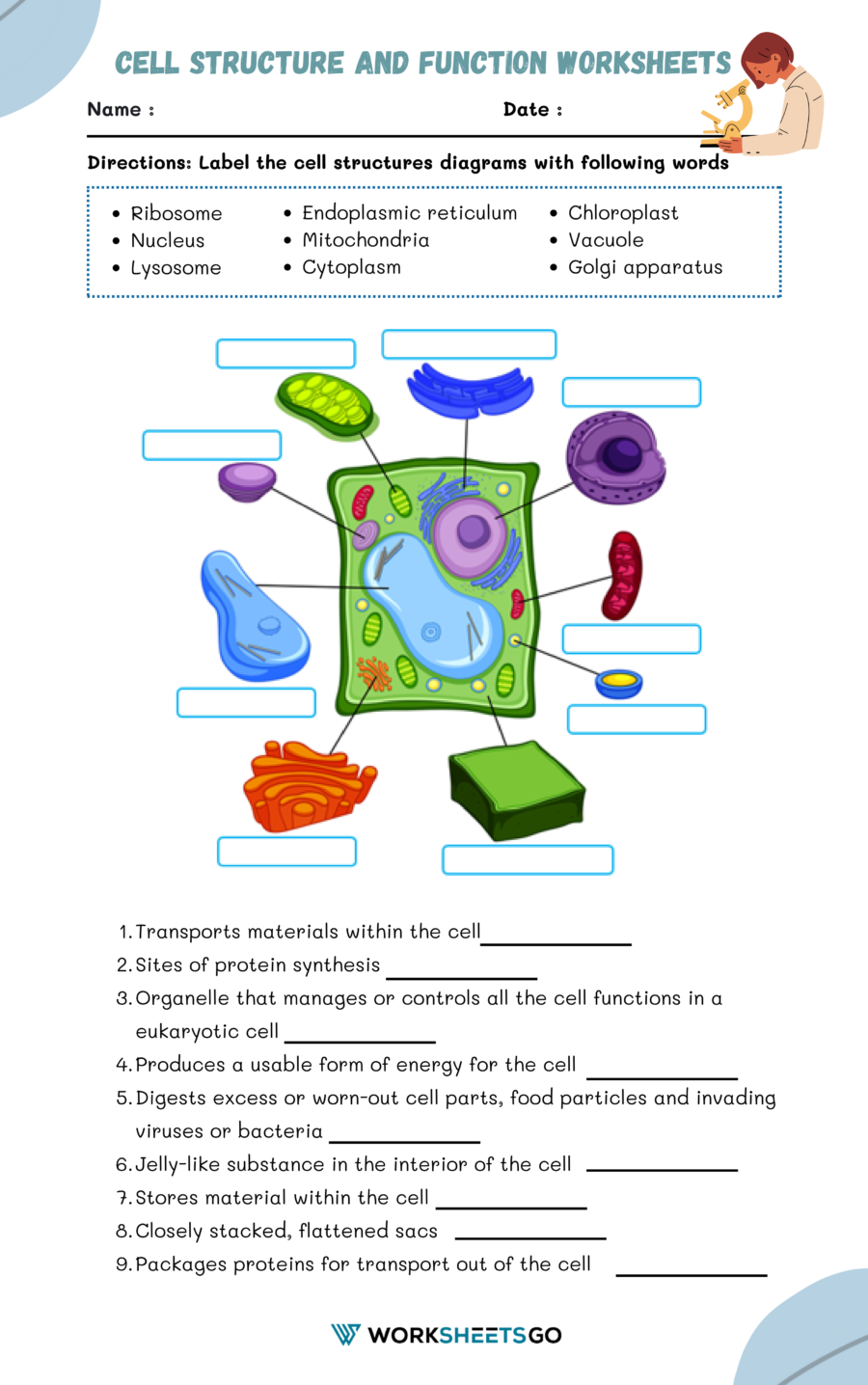 Worksheets Cell Structure And Function Worksheet Waytoohuman Free