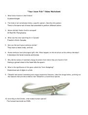 Your Inner Fish Episode 1 Student Companion Worksheet By Do Well Lessons