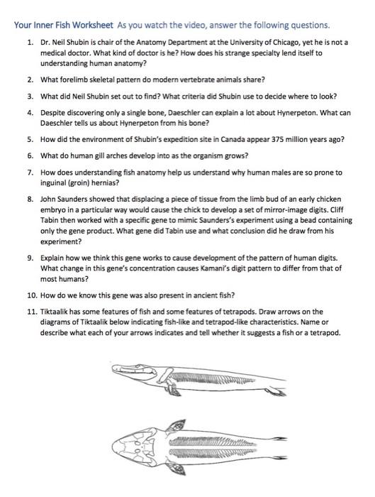 Your Inner Fish Worksheet Answers Printables Math Worksheets