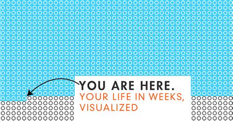 Your Life In Weeks Visualized How To Quit Procrastinating And