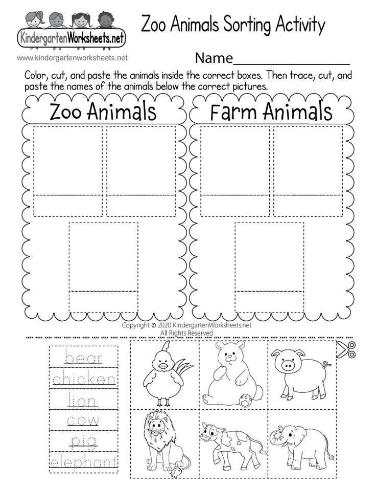 Zoo Animals Sorting Activity Worksheet Free Printable Digital Amp Pdf